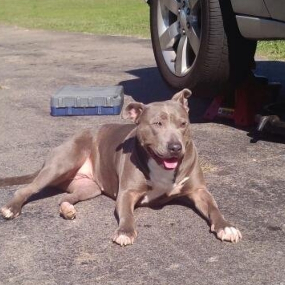 #Tag UR Closet 4 Daily Follows ๐ - Picture 11 of 13